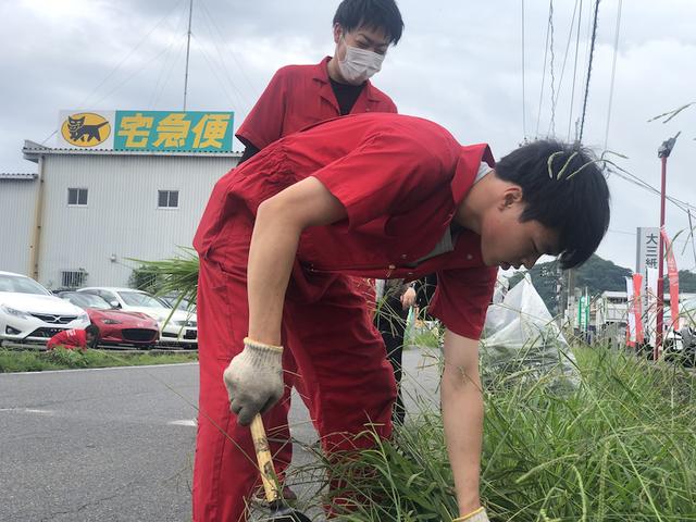 今年も雑草魂（田頭）【尾道市　福山市　三原市でお車の整備・車検・メンテナンス・修理　全部マルっと　カープランニング広島　へまかせんさい！！】