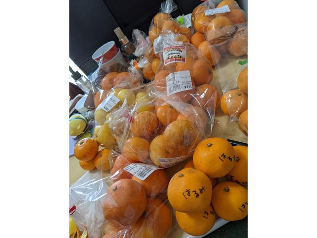 みかん（垣内）【尾道市　福山市　三原市でお車の整備・車検・メンテナンス・修理　全部マルっと　カープランニング広島　へまかせんさい！！】