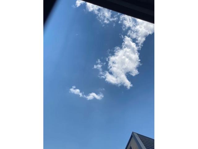 エモインダガ(清水そ)【尾道市　福山市　三原市でお車の整備・車検・メンテナンス・修理/ 板金・塗装　全部マルっと　カープランニング広島　へまかせんさい！！】