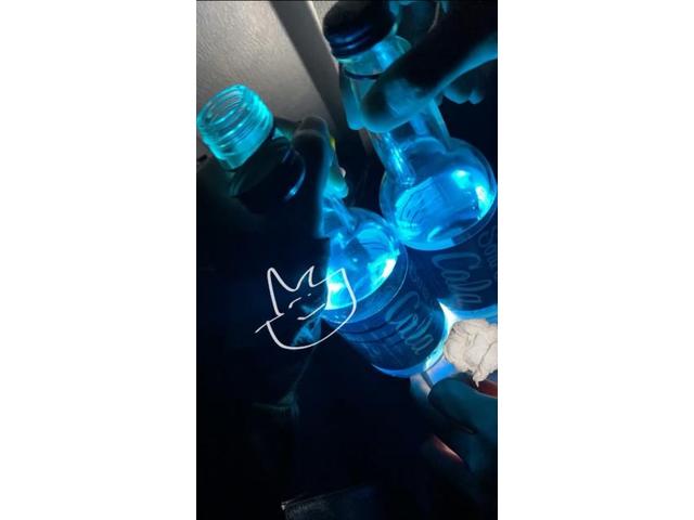 今年3回目の海！(清水)【尾道市　福山市　三原市でお車の整備・車検・メンテナンス・修理/ 板金・塗装　全部マルっと　カープランニング広島　へまかせんさい！！】