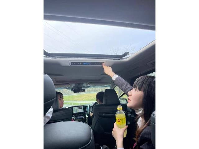 野生人間(清水)【尾道市　福山市　三原市でお車の整備・車検・メンテナンス・修理/ 板金・塗装　全部マルっと　カープランニング広島　へまかせんさい！！】