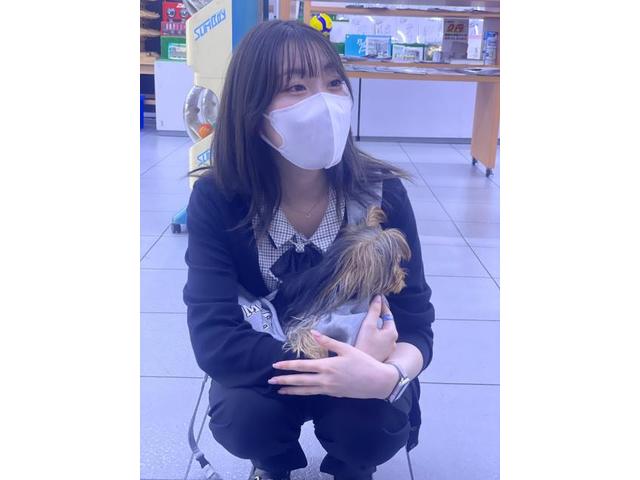 家族day (山根)【尾道市　福山市　三原市でお車の整備・車検・メンテナンス・修理/ 板金・塗装　全部マルっと　カープランニング広島　へまかせんさい！！】