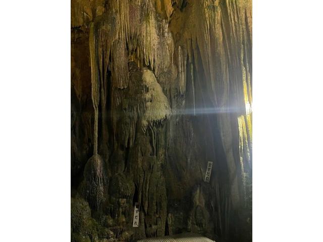 おでかけシリーズ①（武田）【尾道市　福山市　三原市でお車の整備・車検・メンテナンス・修理/ 板金・塗装　全部マルっと　カープランニング広島　へまかせんさい！！】