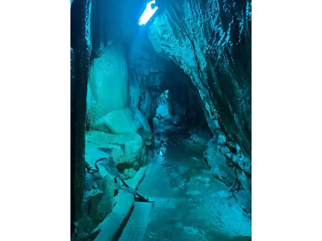 おでかけシリーズ①（武田）【尾道市　福山市　三原市でお車の整備・車検・メンテナンス・修理/ 板金・塗装　全部マルっと　カープランニング広島　へまかせんさい！！】