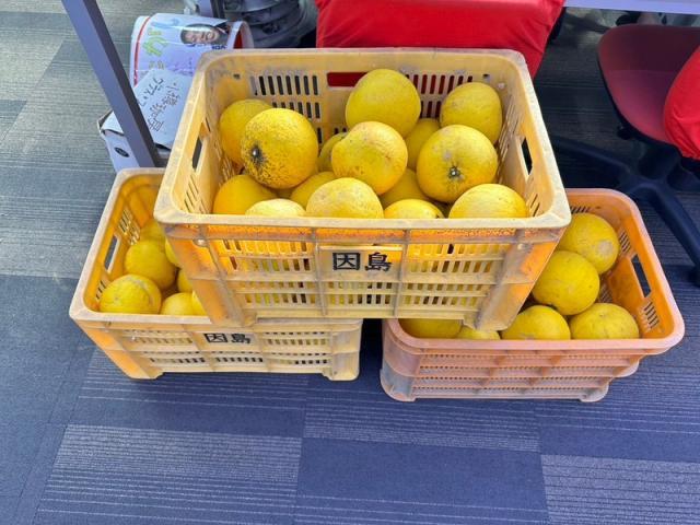 すごく早い一年（渡部）【尾道市　福山市　三原市でお車の整備・車検・メンテナンス・修理/ 板金・塗装　全部マルっと　カープランニング広島　へまかせんさい！！】