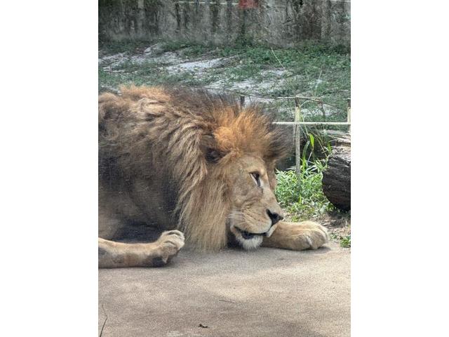 こういう休日たまにはええなあ、、、、(北島)【尾道市　福山市　三原市でお車の整備・車検・メンテナンス・修理/ 板金・塗装　全部マルっと　カープランニング広島　へまかせんさい！！】