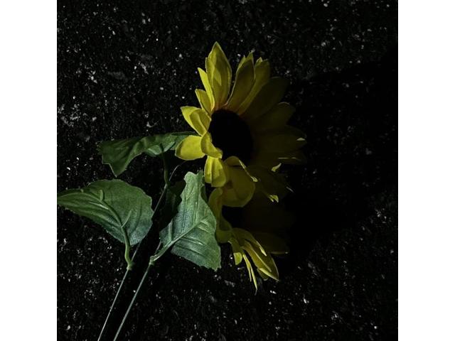 夢への一歩（上田）【尾道市　福山市　三原市でお車の整備・車検・メンテナンス・修理/ 板金・塗装　全部マルっと　カープランニング広島　へまかせんさい！！】