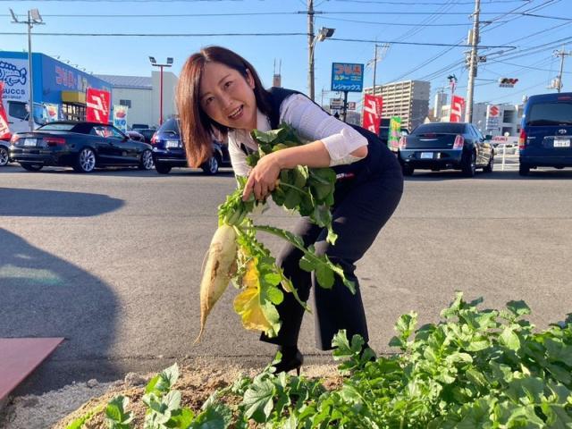 酒井千恵（岡野）（総務部長）【尾道市　福山市　三原市でお車の整備・車検・メンテナンス・修理/ 板金・塗装　全部マルっと　カープランニング広島　へまかせんさい！！】
