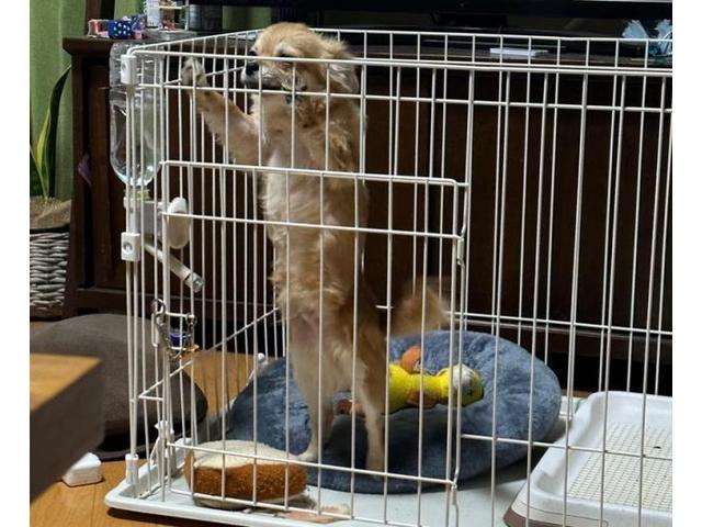 X´mas (山根)【尾道市　福山市　三原市でお車の整備・車検・メンテナンス・修理/ 板金・塗装　全部マルっと　カープランニング広島　へまかせんさい！！】