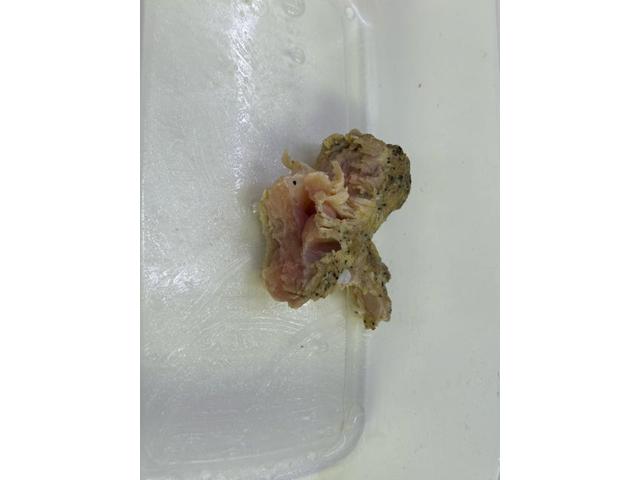 筋トレ中眠くなるの自分だけ？（森田）【尾道市　福山市　三原市でお車の整備・車検・メンテナンス・修理/ 板金・塗装　全部マルっと　カープランニング広島　へまかせんさい！！】