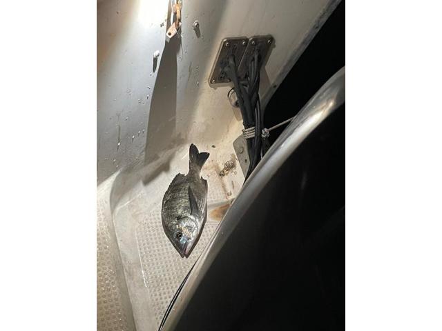 大事故しました（川添）【尾道市　福山市　三原市でお車の整備・車検・メンテナンス・修理/ 板金・塗装　全部マルっと　カープランニング広島　へまかせんさい！！】