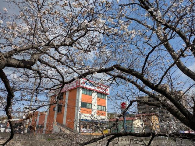 二度目まして(´・ω・`)（垣内）【尾道市　福山市　三原市でお車の整備・車検・メンテナンス・修理/ 板金・塗装　全部マルっと　カープランニング広島　へまかせんさい！！】