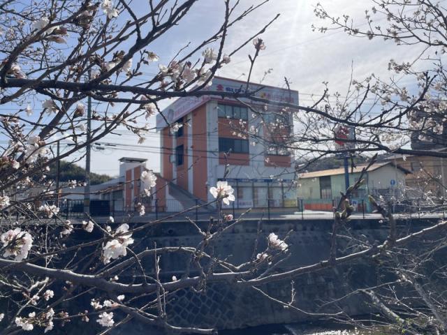 料理と仕事(小田島)【尾道市　福山市　三原市でお車の整備・車検・メンテナンス・修理/ 板金・塗装　全部マルっと　カープランニング広島　へまかせんさい！！】