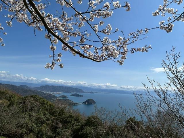 春の夜の夢のごとし（垣内）【尾道市　福山市　三原市でお車の整備・車検・メンテナンス・修理/ 板金・塗装　全部マルっと　カープランニング広島　へまかせんさい！！】