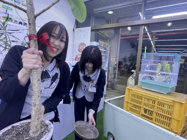 ばーすでい（田頭）【尾道市　福山市　三原市でお車の整備・車検・メンテナンス・修理/ 板金・塗装　全部マルっと　カープランニング広島　へまかせんさい！！】