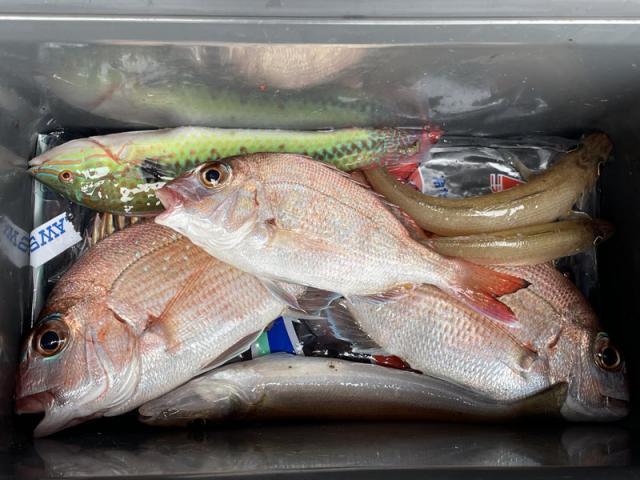 早朝から釣り（田頭）【尾道市　福山市　三原市でお車の整備・車検・メンテナンス・修理/ 板金・塗装　全部マルっと　カープランニング広島　へまかせんさい！！】