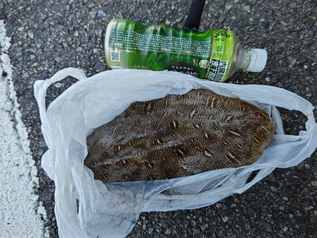 3回目の登場です（ホリデー車検尾道・村木）【尾道市　福山市　三原市でお車の整備・車検・メンテナンス・修理/ 板金・塗装　全部マルっと　カープランニング広島　へまかせんさい！！】