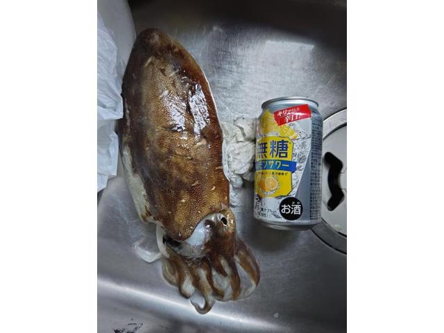 3回目の登場です（ホリデー車検尾道・村木）【尾道市　福山市　三原市でお車の整備・車検・メンテナンス・修理/ 板金・塗装　全部マルっと　カープランニング広島　へまかせんさい！！】