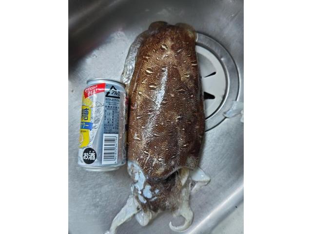 3回目の登場です（ホリデー車検尾道・村木）【尾道市　福山市　三原市でお車の整備・車検・メンテナンス・修理/ 板金・塗装　全部マルっと　カープランニング広島　へまかせんさい！！】