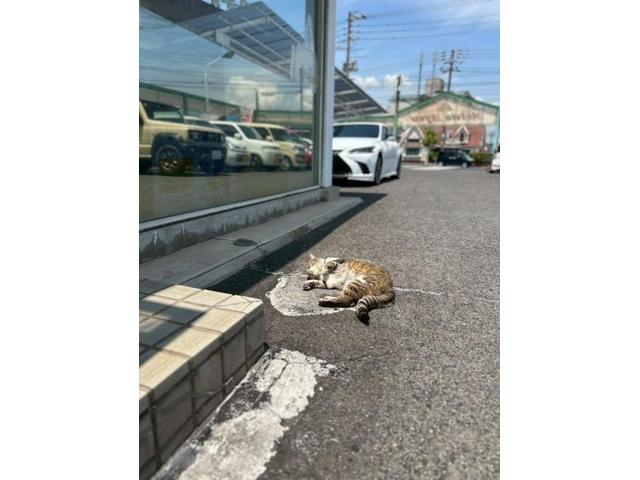 平和な空気（田頭）【尾道市　福山市　三原市でお車の整備・車検・メンテナンス・修理/ 板金・塗装　全部マルっと　カープランニング広島　へまかせんさい！！】
