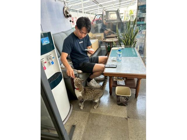 平和な空気（田頭）【尾道市　福山市　三原市でお車の整備・車検・メンテナンス・修理/ 板金・塗装　全部マルっと　カープランニング広島　へまかせんさい！！】