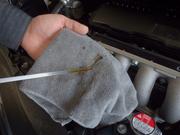 各種エンジンオイルも用意しております。エンジンオイル交換も当店委お任せ下さい！