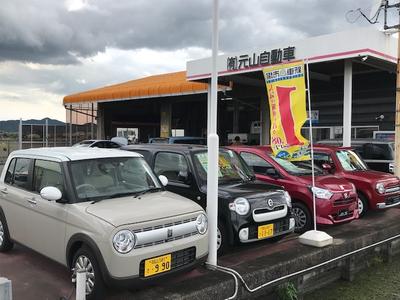 特選中古車勢揃い