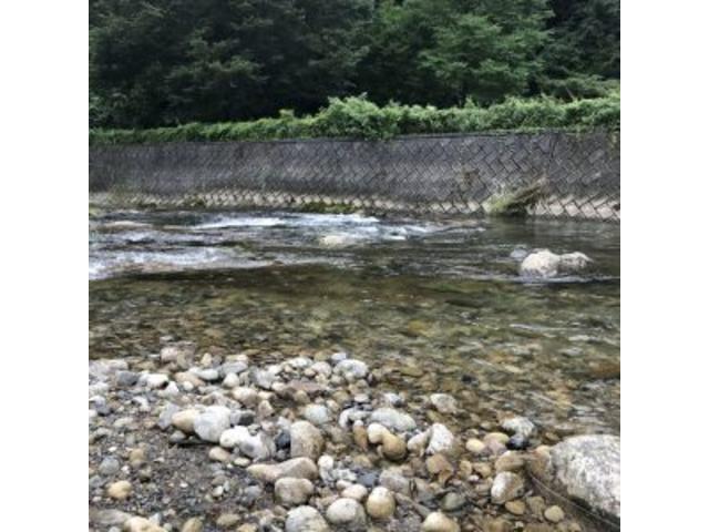 川遊び【山口県　周南市・山口市で車検・整備・修理なら温品自動車㈱ 　車検のコバック周南徳山店へ！！】