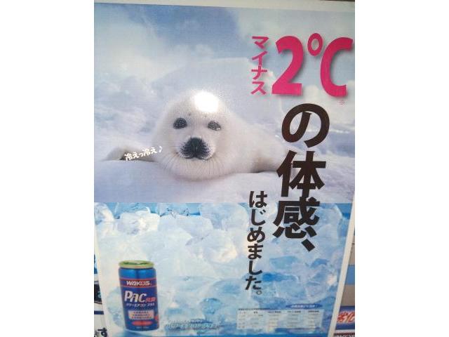 作業実績