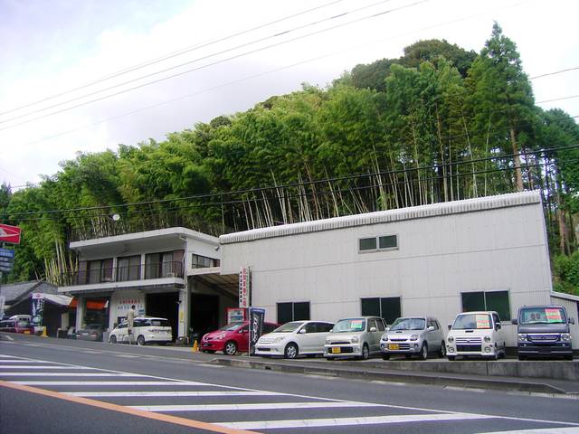 有限会社 大迫自動車商会 Car Best Selection(0枚目)