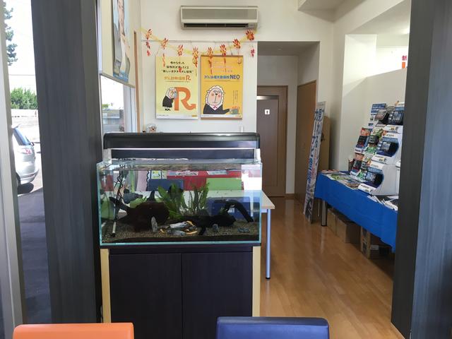 （有）ロイヤル商会 【ロータス石川加盟店】 サービス紹介の5つ目