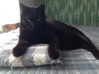 販売店スタッフ紹介