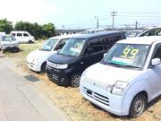 中古車展示場の様子です