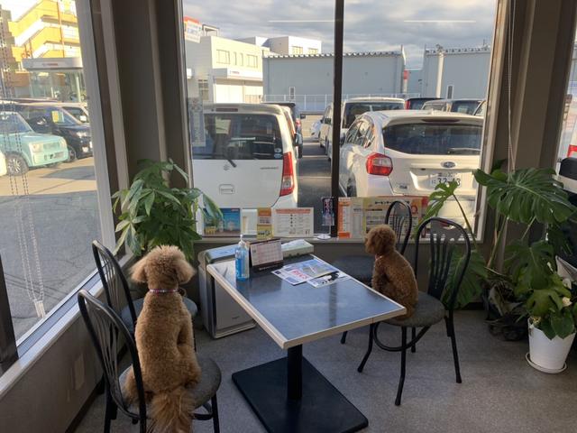 看板犬・モコちゃん：ハナちゃんがお出迎え