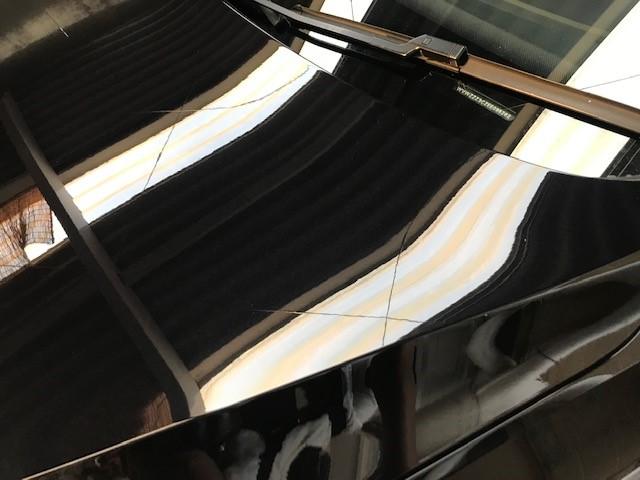 VWパサート　ガラスコーティング（ボディコーティング）施工　長野県松本市より