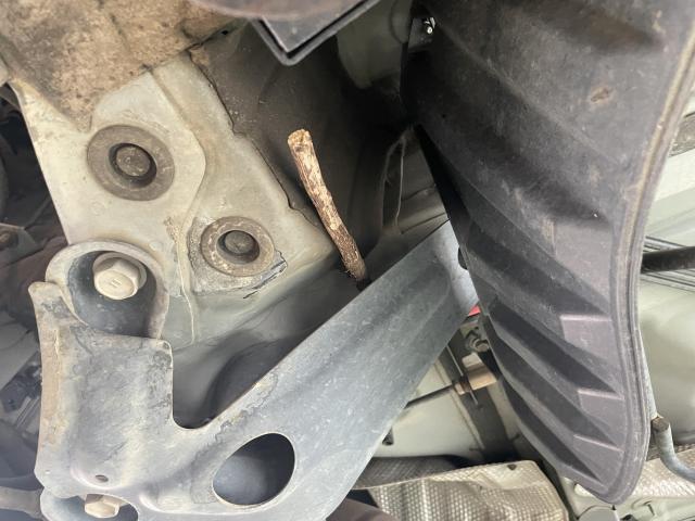 トヨタ　ノア　関東仕入れ車　下回りクリーニング