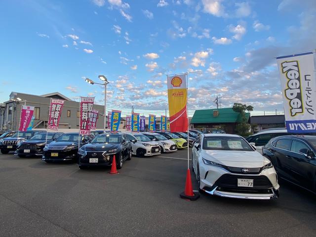 (株)ケーユー 新潟女池店(0枚目)