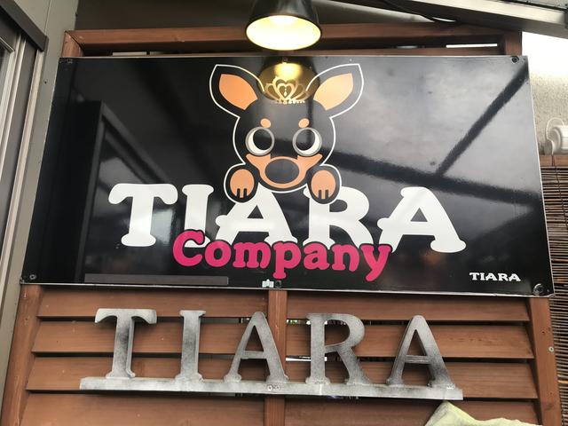 TIARA company(5枚目)