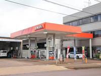 �ʳ�������