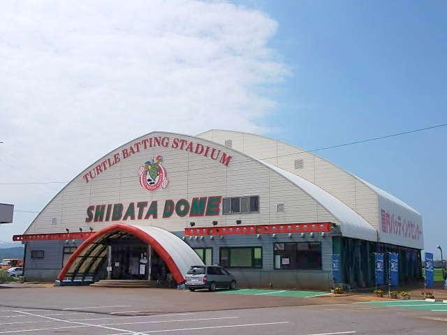 タートル 新発田店(5枚目)