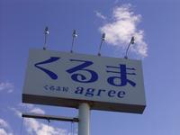 ����޲���������