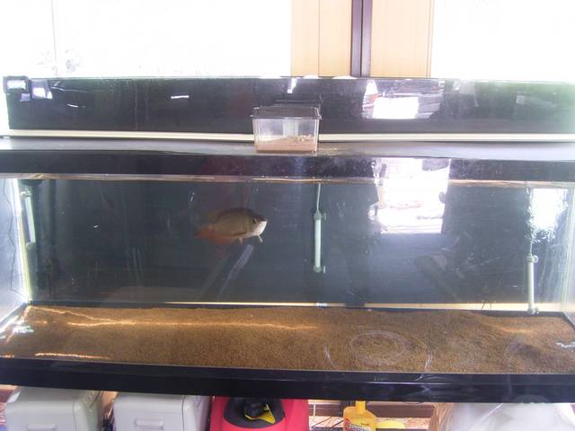 ＣＡＲ ＳＨＯＰ ｆａｎｂｌ サービス紹介の6つ目