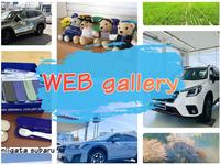 新潟スバル自動車（株） ＷＥＢギャラリー新潟