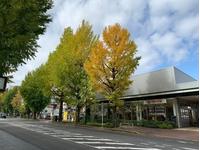 ����Ź����