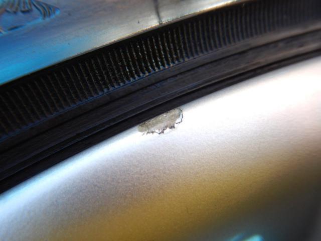 BMW３シリーズ、Z4に流用できる５シリーズMスポーツ純正１８インチ入庫です！
BMW純正ダブルスポーク３５０M　１８インチ　ブリヂストンレグノ付！