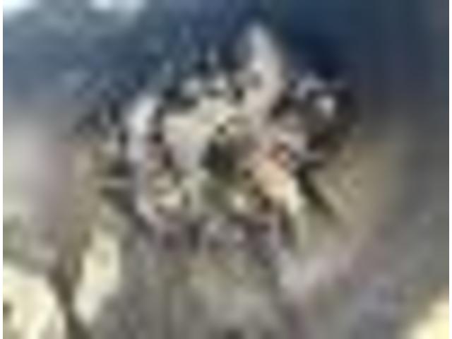 スズキ　ジムニー　車検点検、
沖縄市　北中城村　うるま市　宜野湾市　浦添市　西原町　北谷町