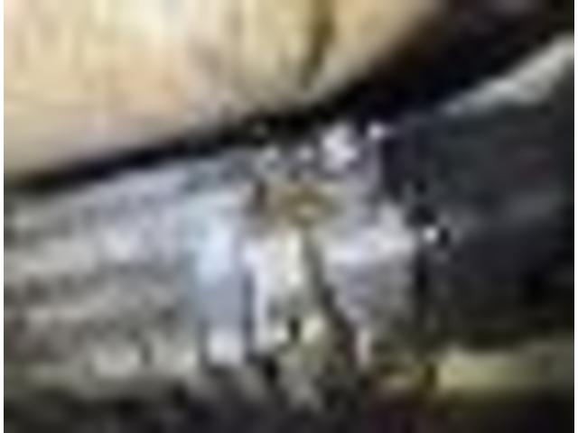 スズキ　ジムニー　車検点検、
沖縄市　北中城村　うるま市　宜野湾市　浦添市　西原町　北谷町