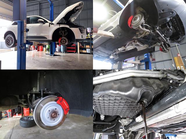 ＡＺＥＥＬ　ＳＰＯＲＴＳ　アジールスポーツ12