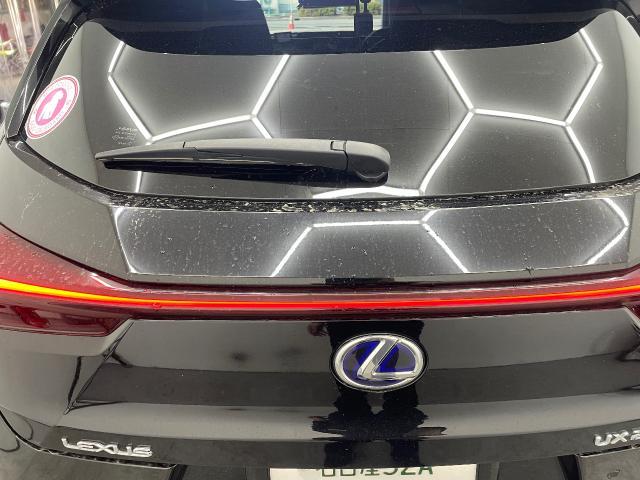 レクサス　ＵＸ　ボディーガラスコーティング