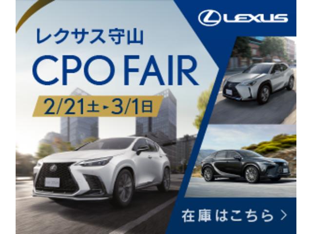 ����Ź����